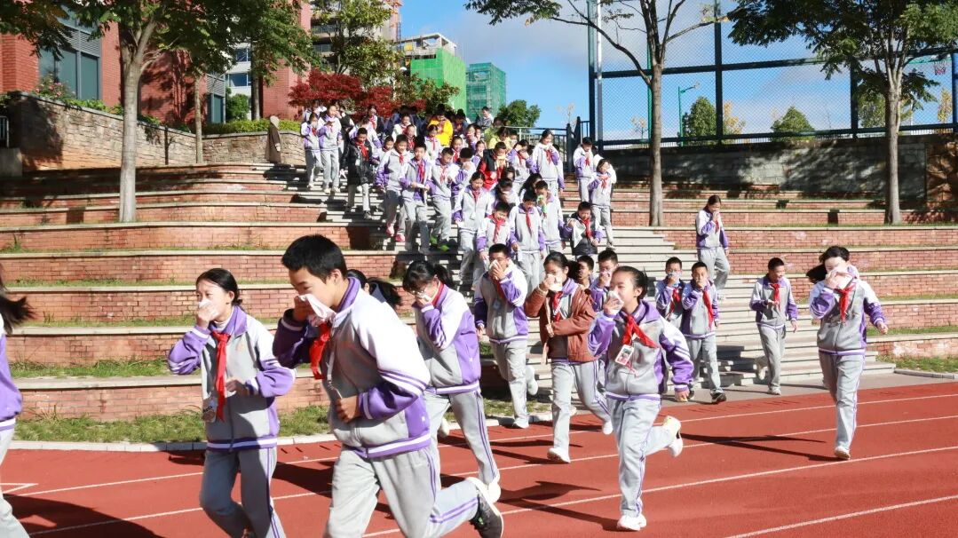 1775122555667040620.jpg 1775122555667040620.jpg